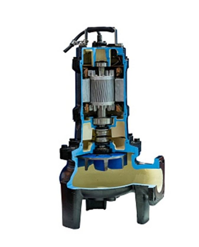 Cross‑section view of a water pump